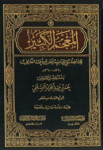 المعجم الكبير (الجزء السادس عشر)