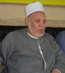 طه الدسوقي حبيشي